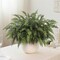 12 Pcs Artificial Cedar Branch Faux Greenery Plants Stem (Green) 8"D x 8"W x 18"H
